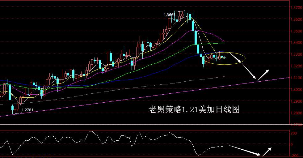 老黑策略：1.21外汇分析策略