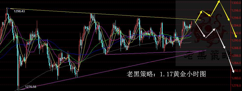 老黑策略：1.17黄金分析策略