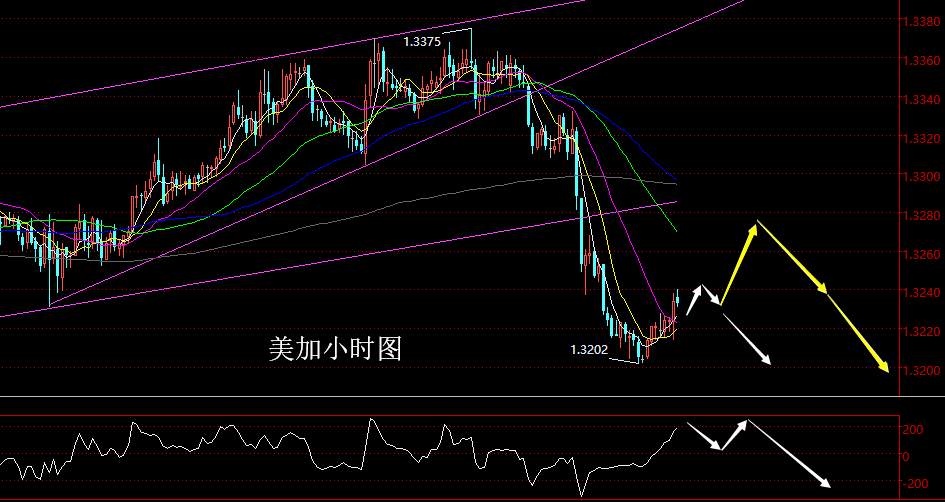 老黑策略： 1.28晚盘外汇、黄金分析策略