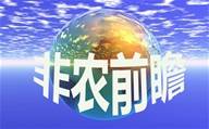 杨锦鑫：黄金周初亚市急跌，日内反弹继续看空