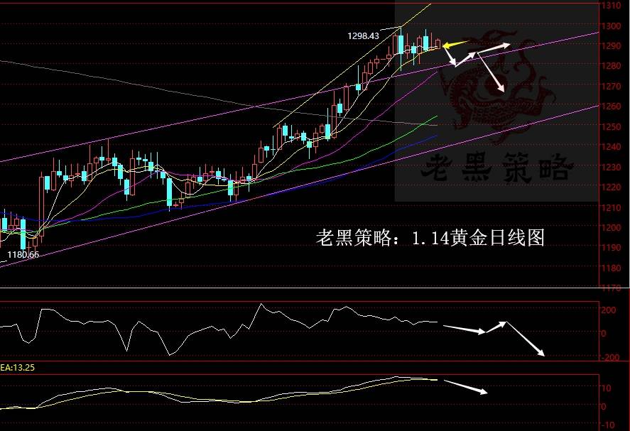 老黑策略：1.14黄金分析策略