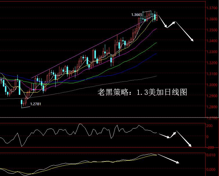 老黑策略：1.3外汇分析策略