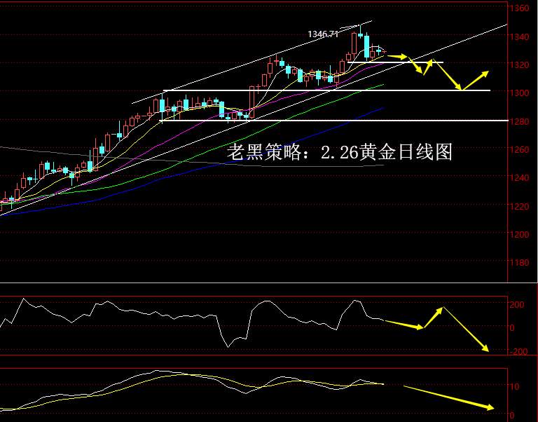 老黑策略：2.26黄金分析策略
