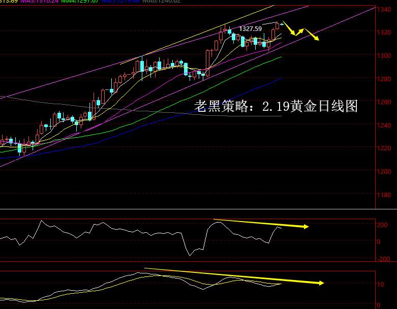 回修 行情 背离 黄金 震荡 走高