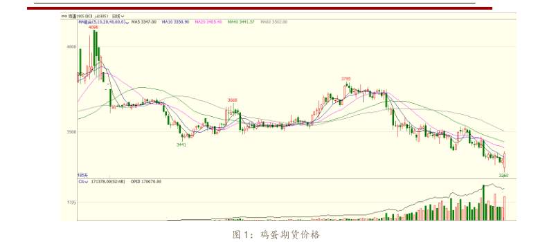 蛋价 鸡蛋 合约 收涨 现货 育雏