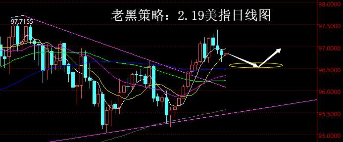 老黑策略：2.19外汇分析策略