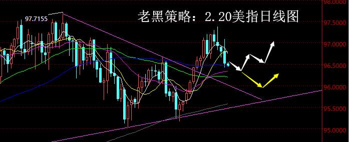 老黑策略：2.20外汇分析策略
