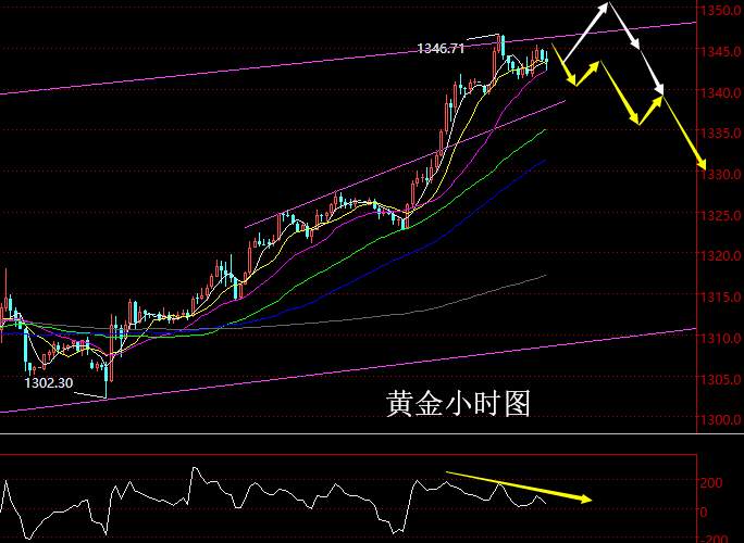 老黑策略：2.20晚盘外汇、黄金分析策略