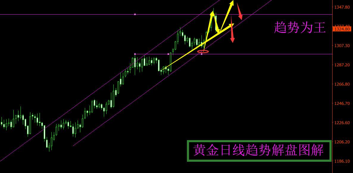 旷少林：美国国债收益率大幅飙升成黄金驱动下跌要素 续跌