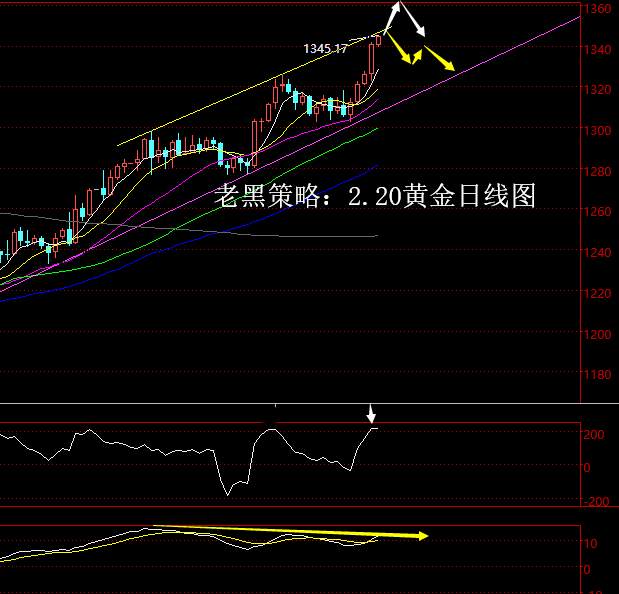 老黑策略：2.20黄金分析策略