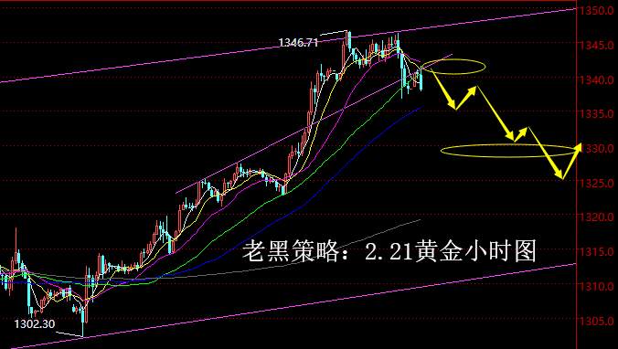 老黑策略：2.21黄金分析策略