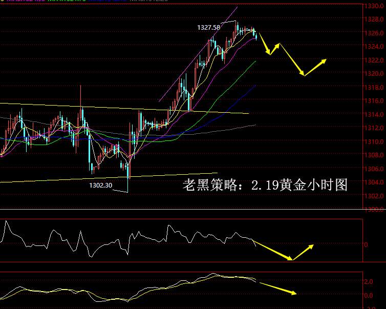老黑策略：2.19黄金分析策略