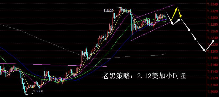 老黑策略：2.12外汇分析策略