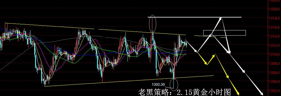 老黑策略：2.15黄金分析策略