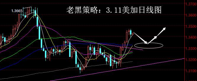 老黑策略：3.11外汇分析策略