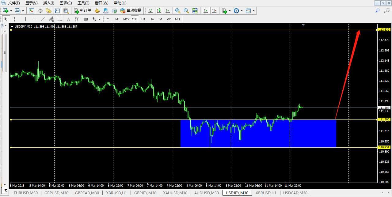 feed-image-1