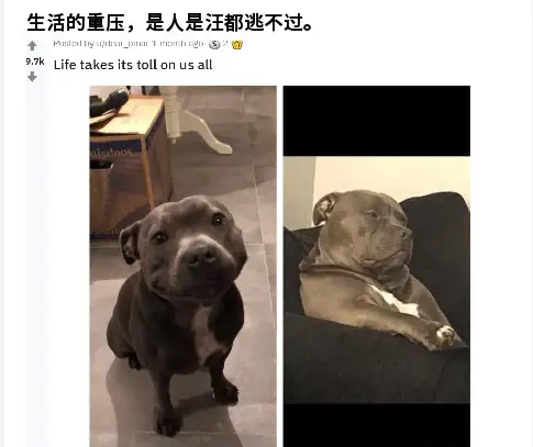 feed image