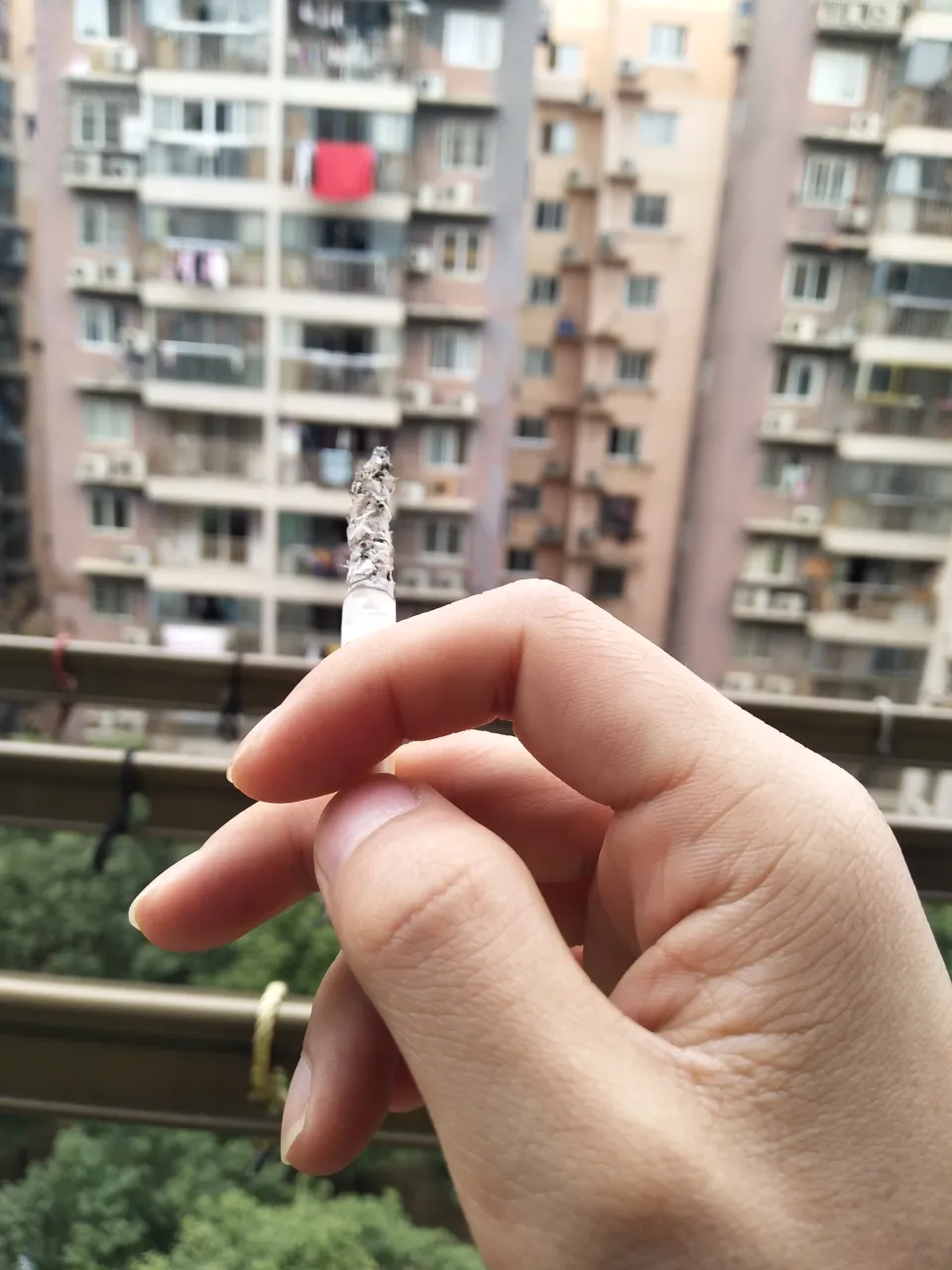 feed image