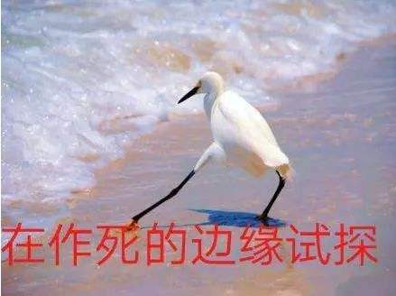 未必要有希望才能够坚持