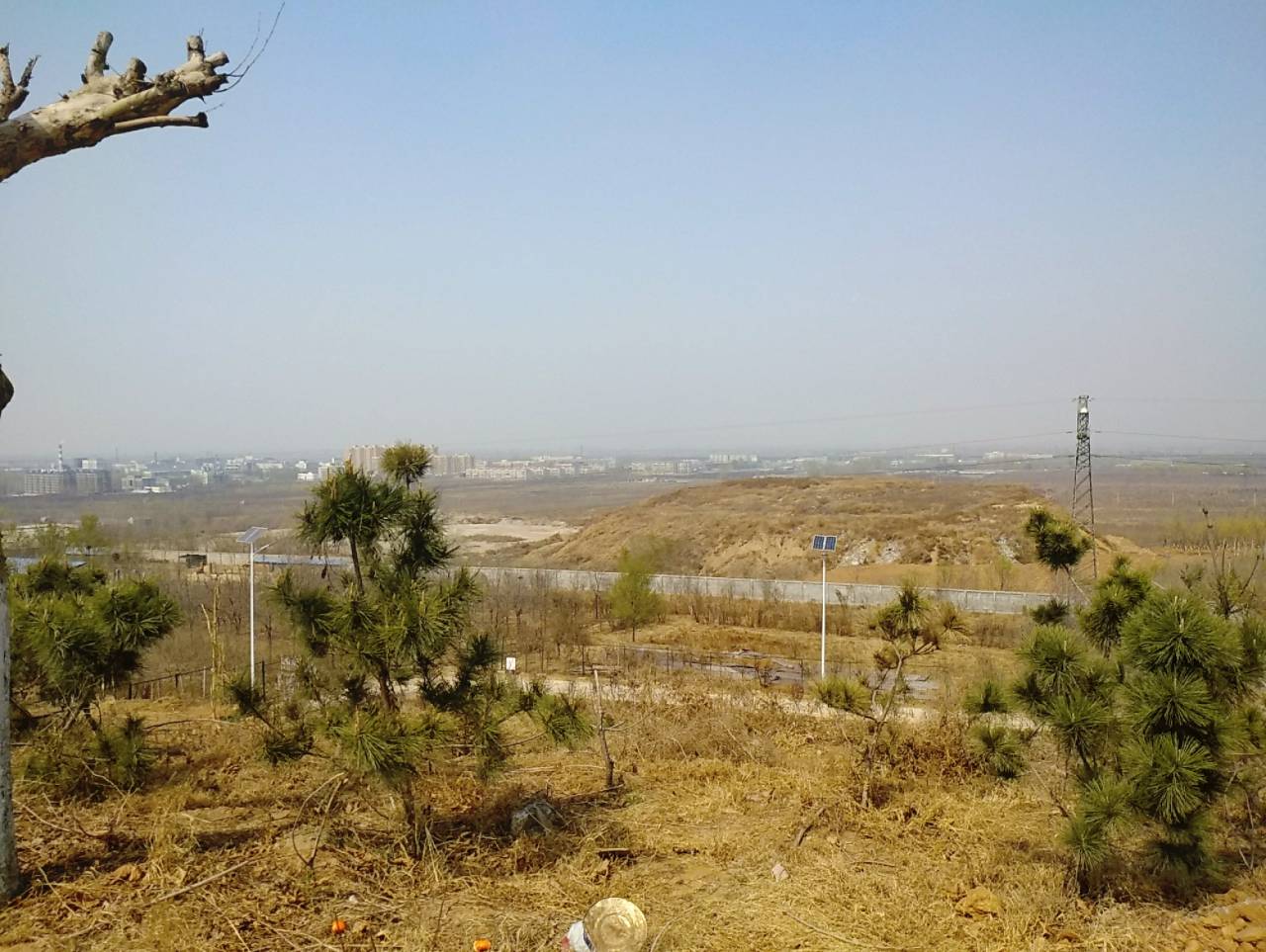 feed-image-1