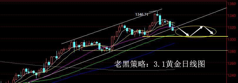 老黑策略：3.1黄金分析策略