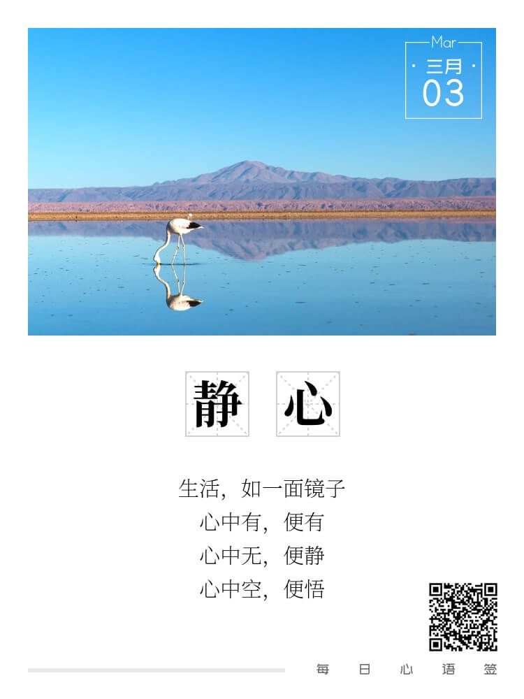 feed-image-0
