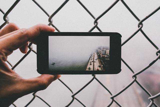 feed-image-0