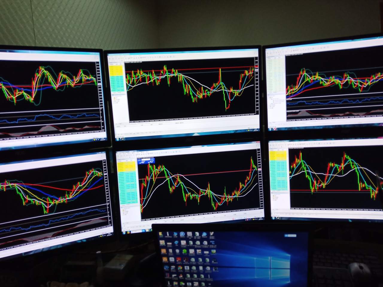 feed-image-1