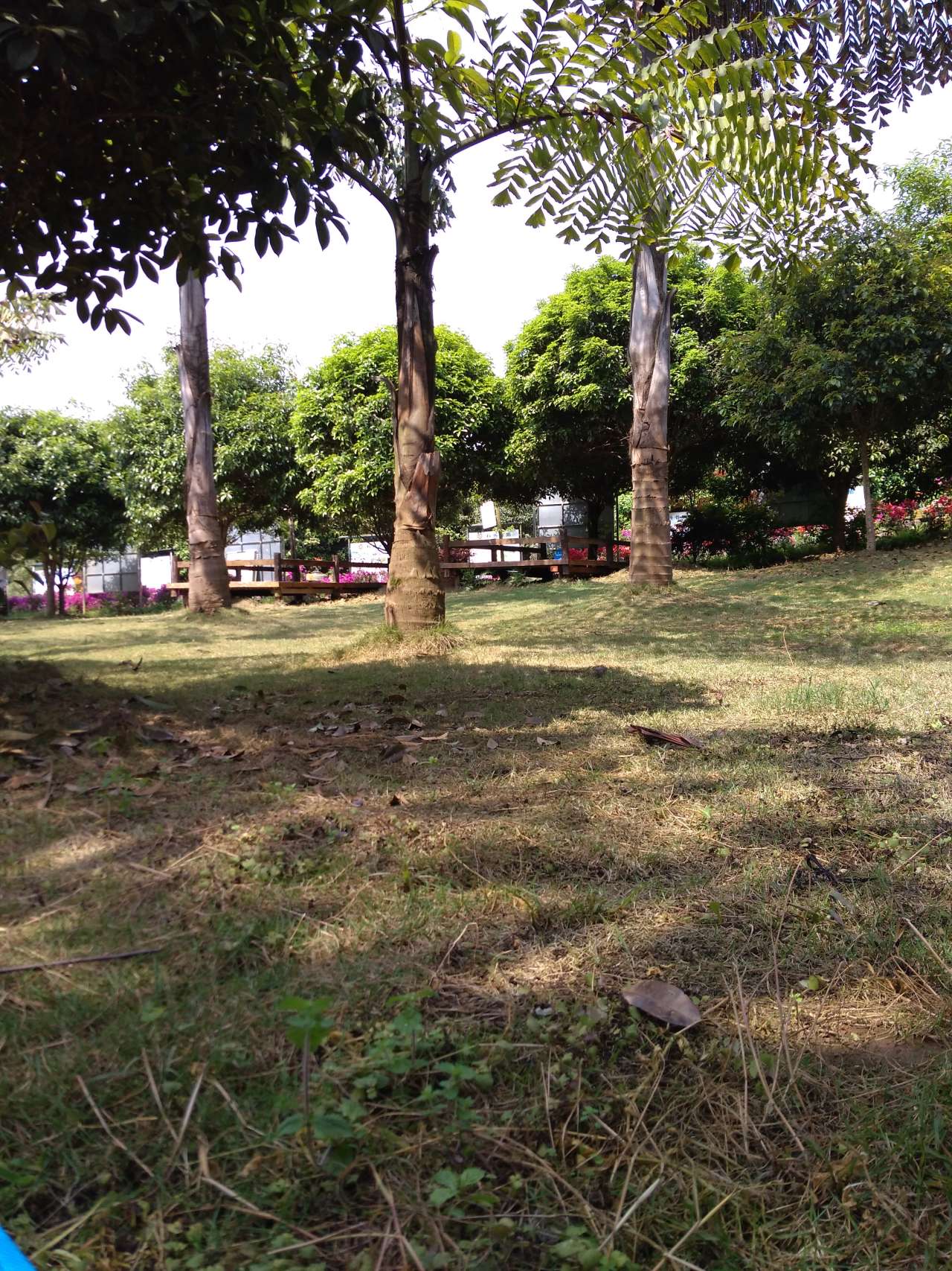 feed-image-1