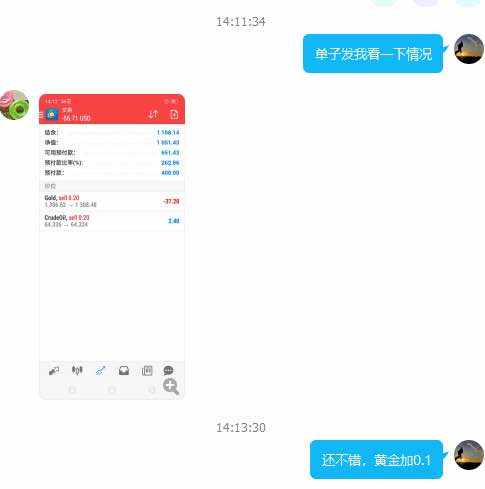 feed-image-1