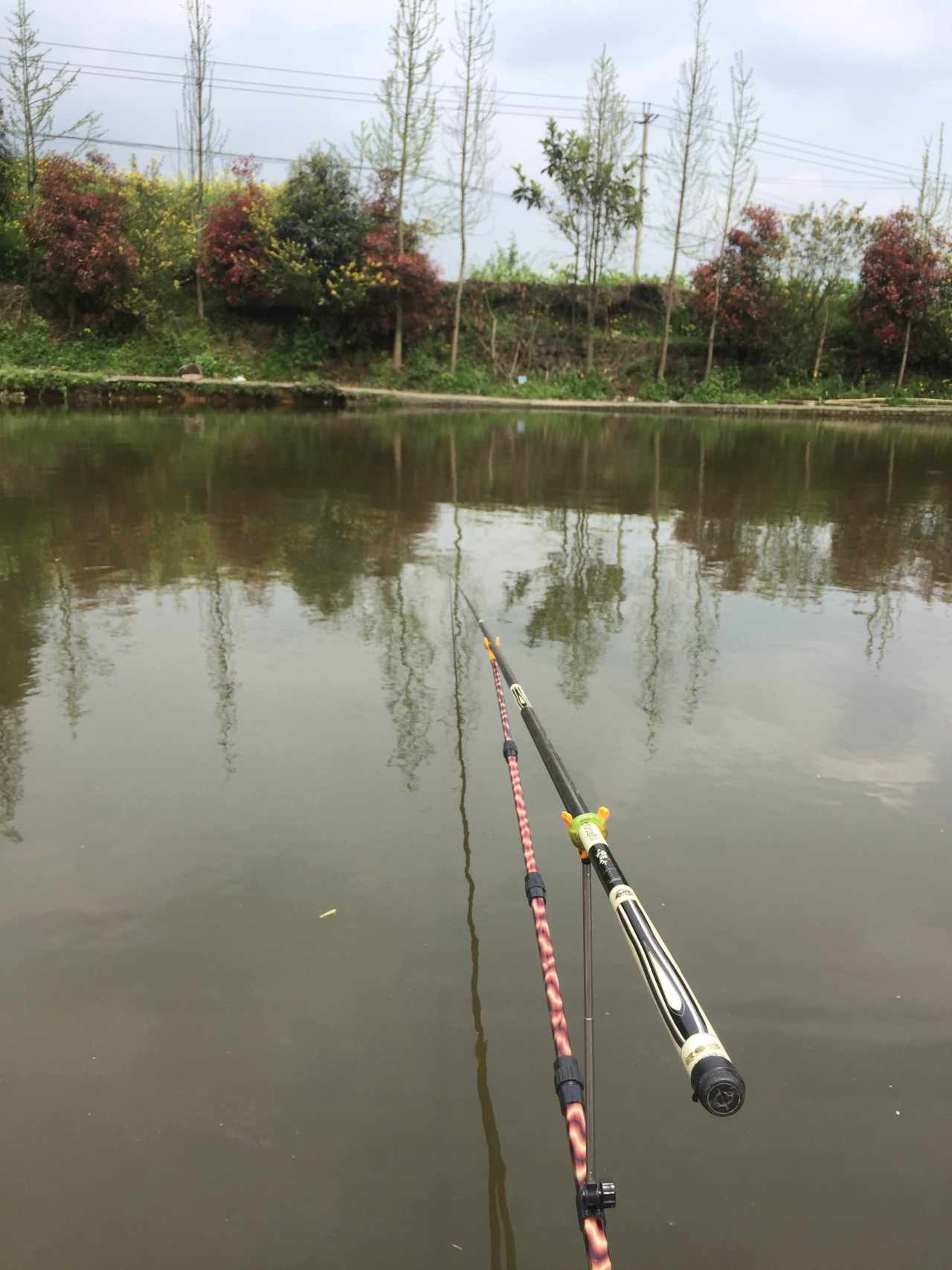 feed-image-0
