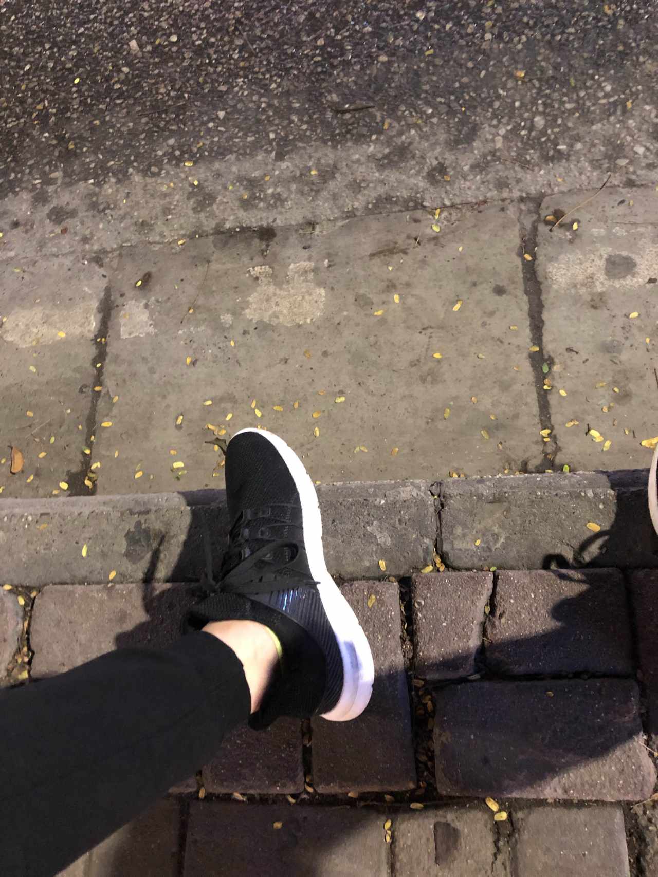feed-image-2