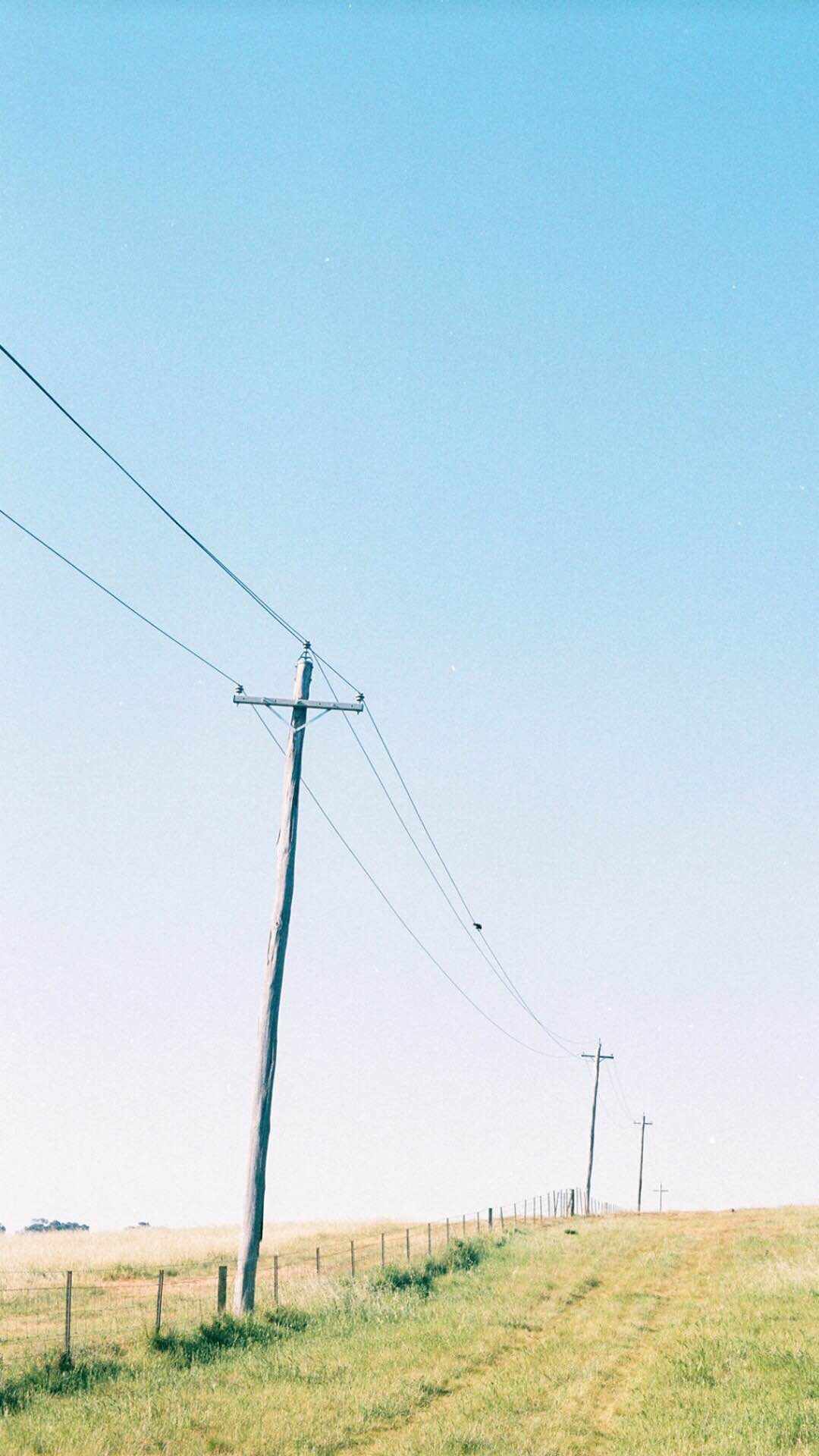 feed-image-0