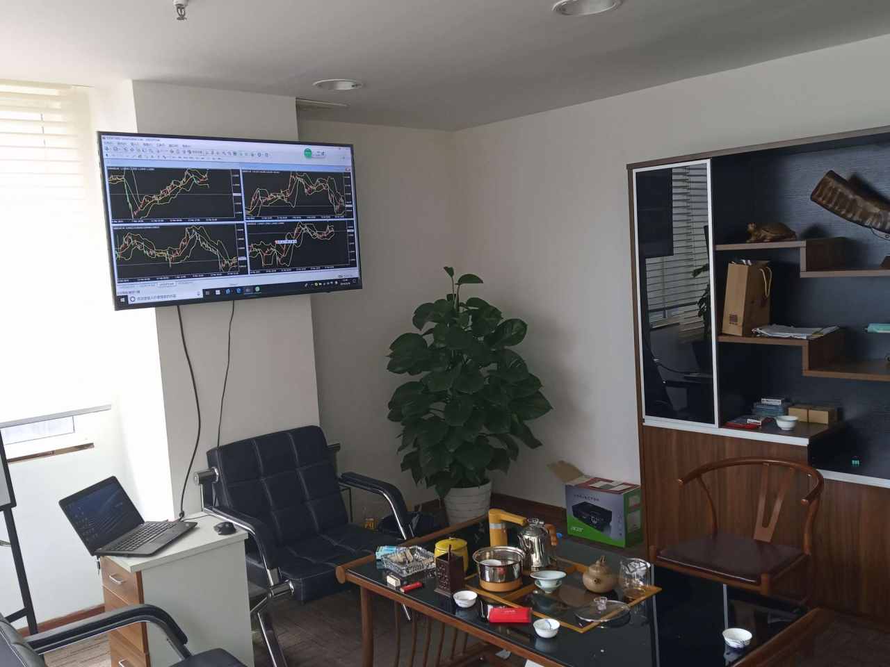 feed-image-1