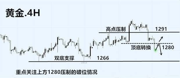 feed-image-1