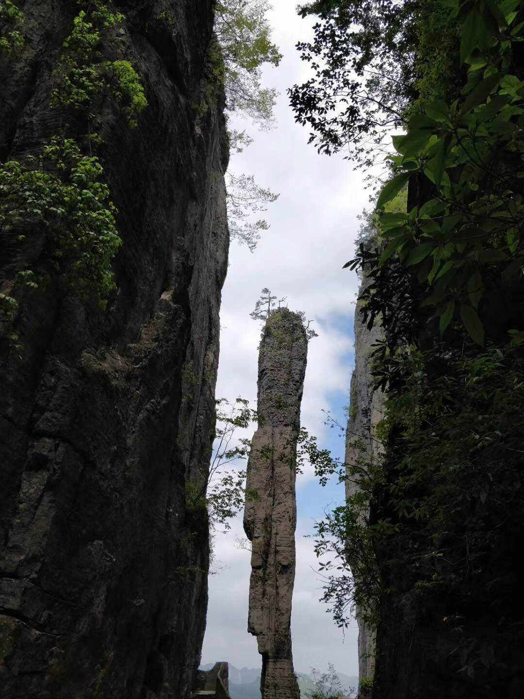 feed-image-1