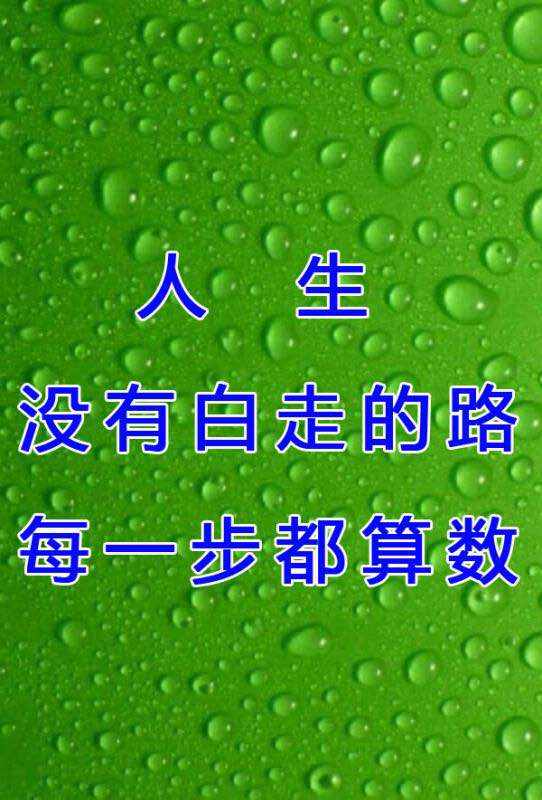 feed-image-3