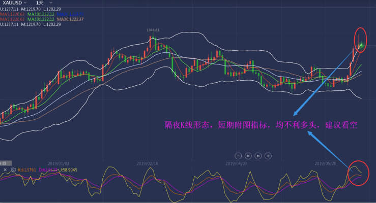 杨锦鑫：国际黄金冲高遇阻，多头力衰暂时看空