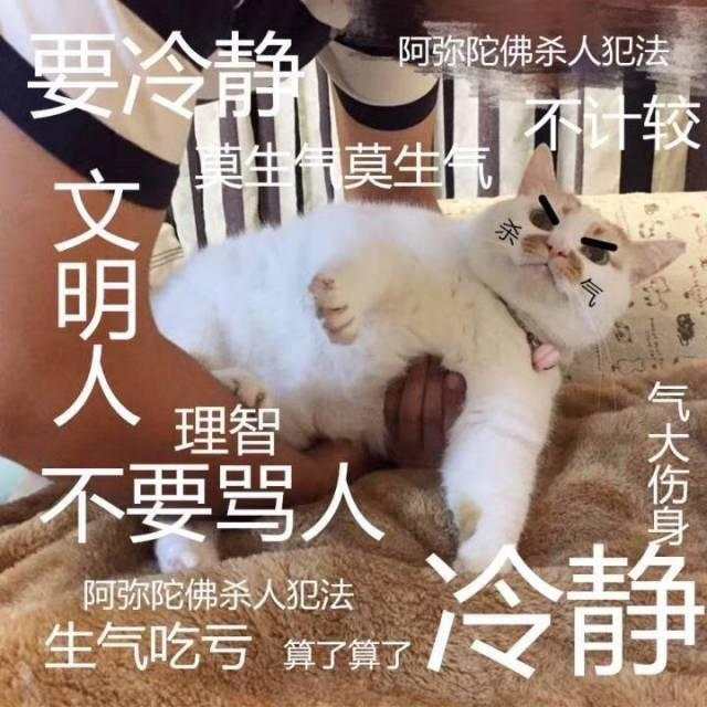 feed-image-0