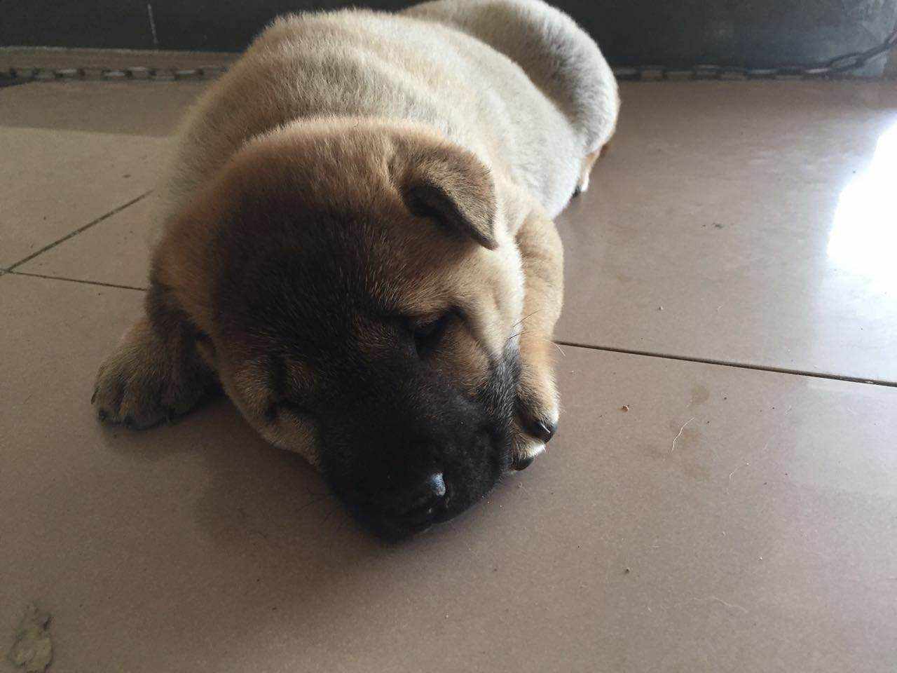 feed-image-0