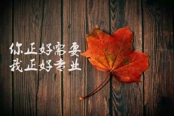 6.19恒指晚盘总结|恒指涨700点报28202点，晚盘做多为主