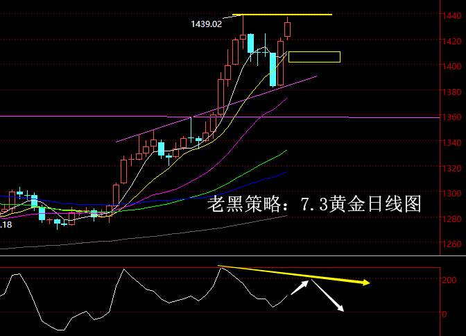 老黑策略：7.3黄金分析策略