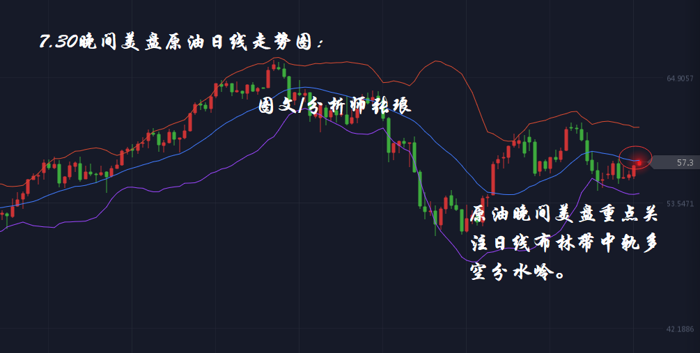 分析师张琅：7.30黄金技术分析、原油操作建议，美盘点燃超级非农周