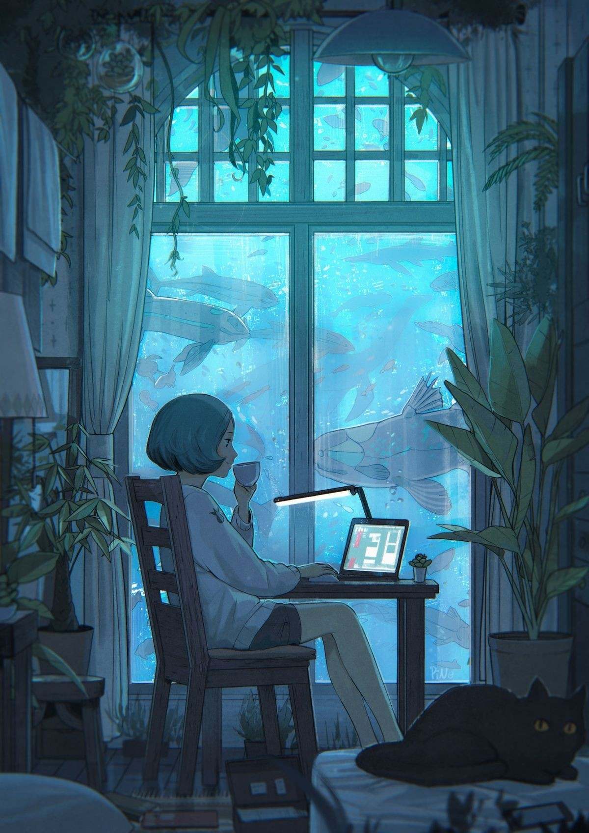 feed-image-0