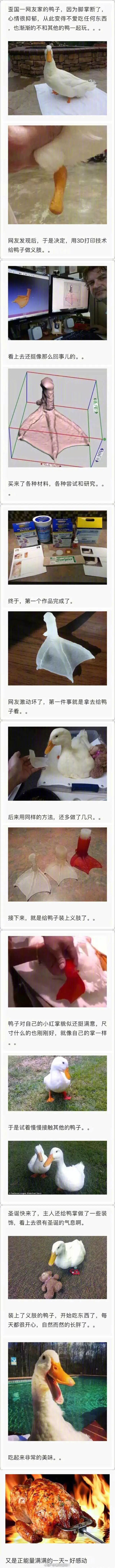 feed image