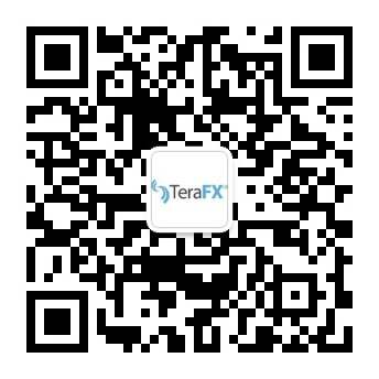 TeraFX邀请您成为FCA专业客户，不受ESMA杠杆限制