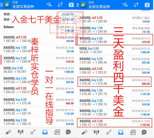 秦梓昕：不管是新手还是老手，做好这几点，做投资一定可以稳健盈利