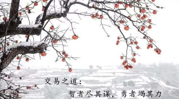 叶金言：黄金投资技巧之MACD行情指标
