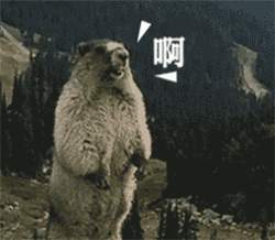 feed-image-0