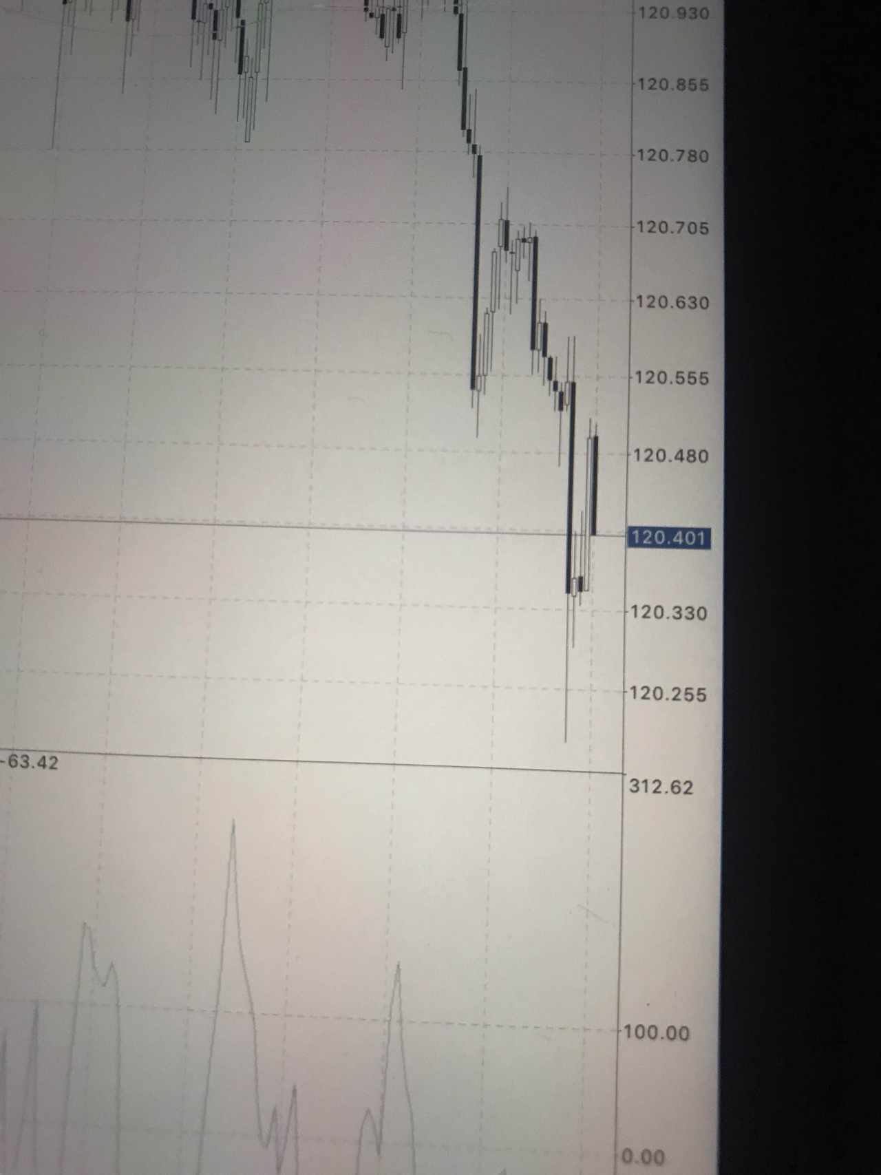 feed-image-1